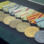Панно «Медали за оборону Родины»