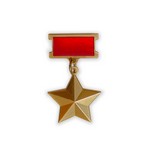 Золотая Звезда Героя Советского Союза №22, муляж