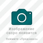 Медаль «За отличие в охране государственной границы» РФ, сувенирный муляж