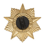 Знак «Фронтовик 1941-1945», копия