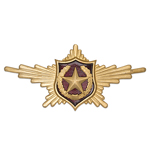 Нагрудный знак «Рота почетного караула» сухопутные войска