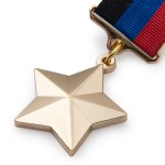 Знак особого отличия «Герой Донецкой Народной Республики», копия