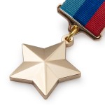 Знак особого отличия «Герой Луганской Народной Республики», копия