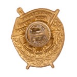 Знак «Орден Боевого Красного знамени» (миниатюра)