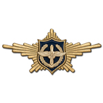 Нагрудный знак «Рота Почётного Караула» ВВС